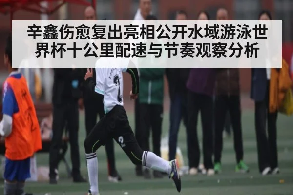 辛鑫伤愈复出亮相公开水域游泳世界杯十公里配速与节奏观察分析